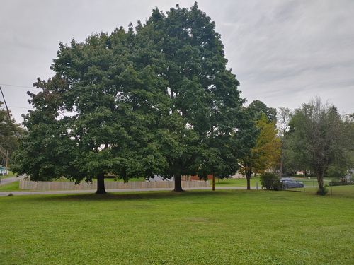 Lot 2 Pine Road, Genoa City, WI, 53128 | Card Image