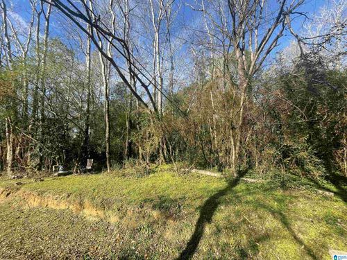 124-124 Ross St, ADAMSVILLE, AL, 35005-1922 | Card Image
