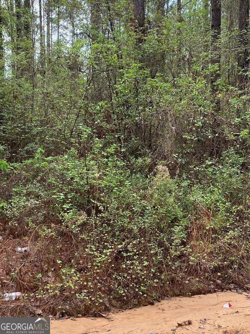 LOT 3 Coleman Chapel Rd, swainsboro, GA, 30401-5990 | Card Image