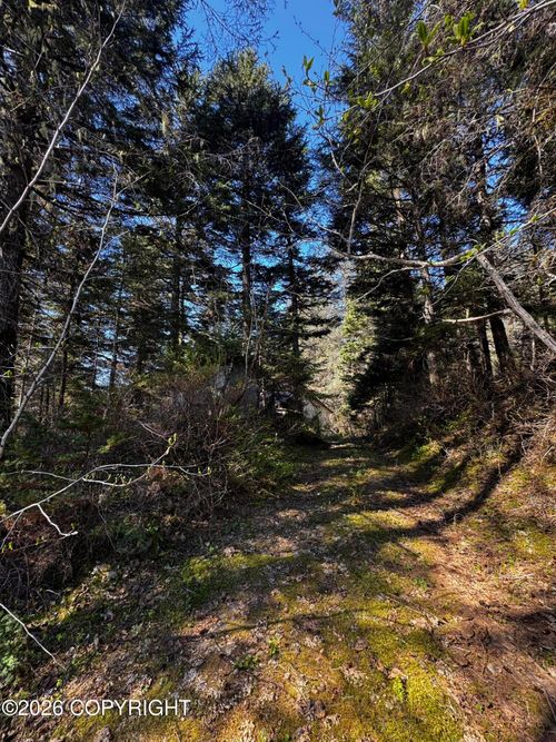 15485 Grouse Creek Road, Seward, AK, 99664 | Card Image