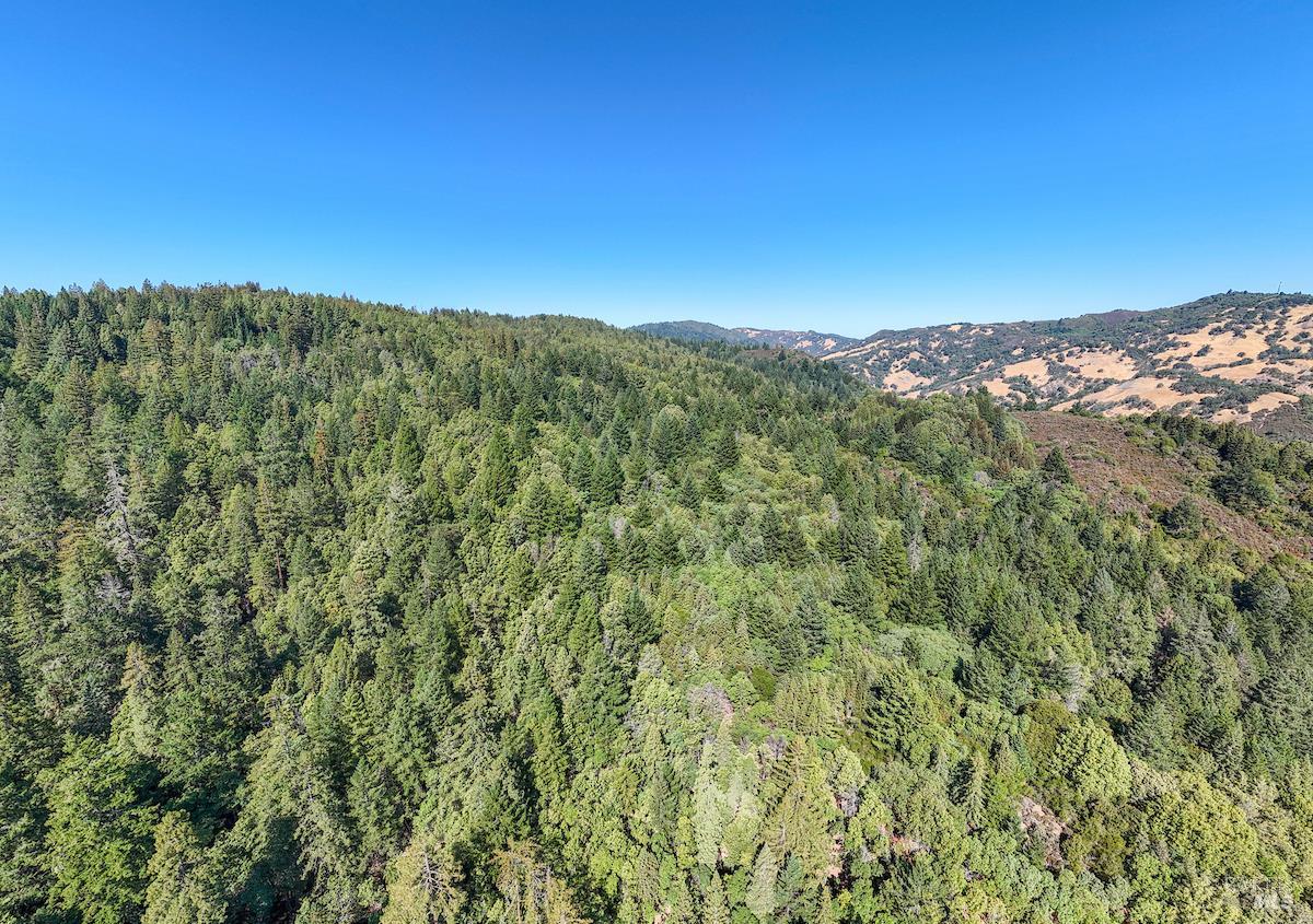 30401 Highway 128, Yorkville, CA 95494