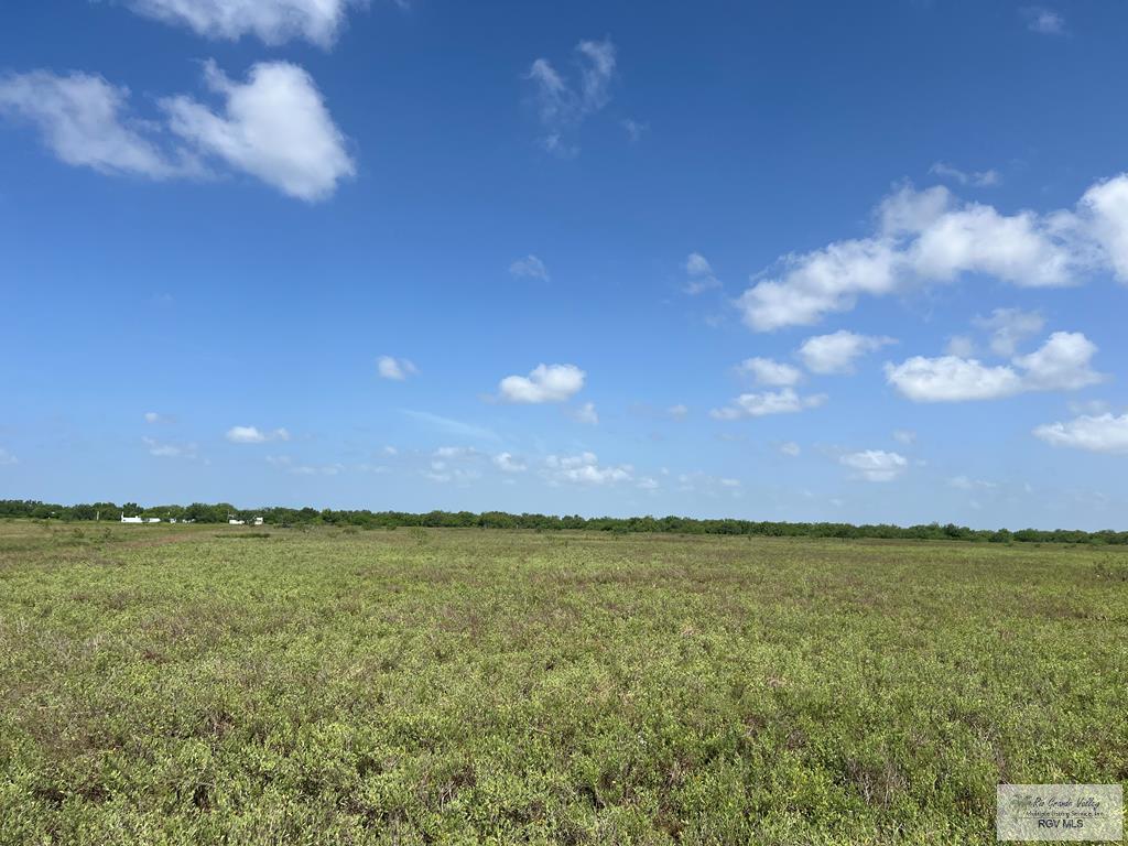 Land in Los Fresnos 3