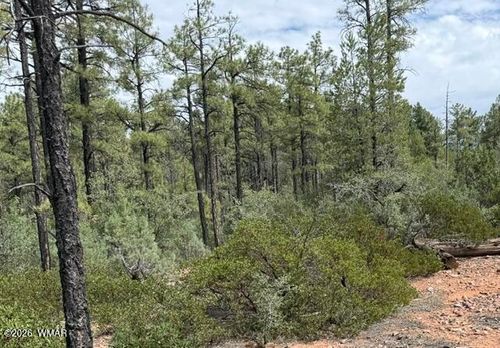 3352 Pine Needle Dr, Show Low, AZ, 85901-7601 | Card Image