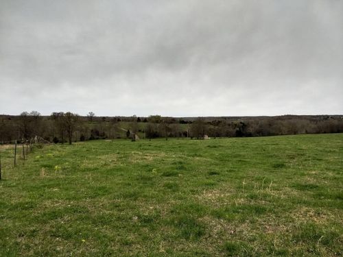 505 D Hwy, Urbana, MO, 65767 | Card Image