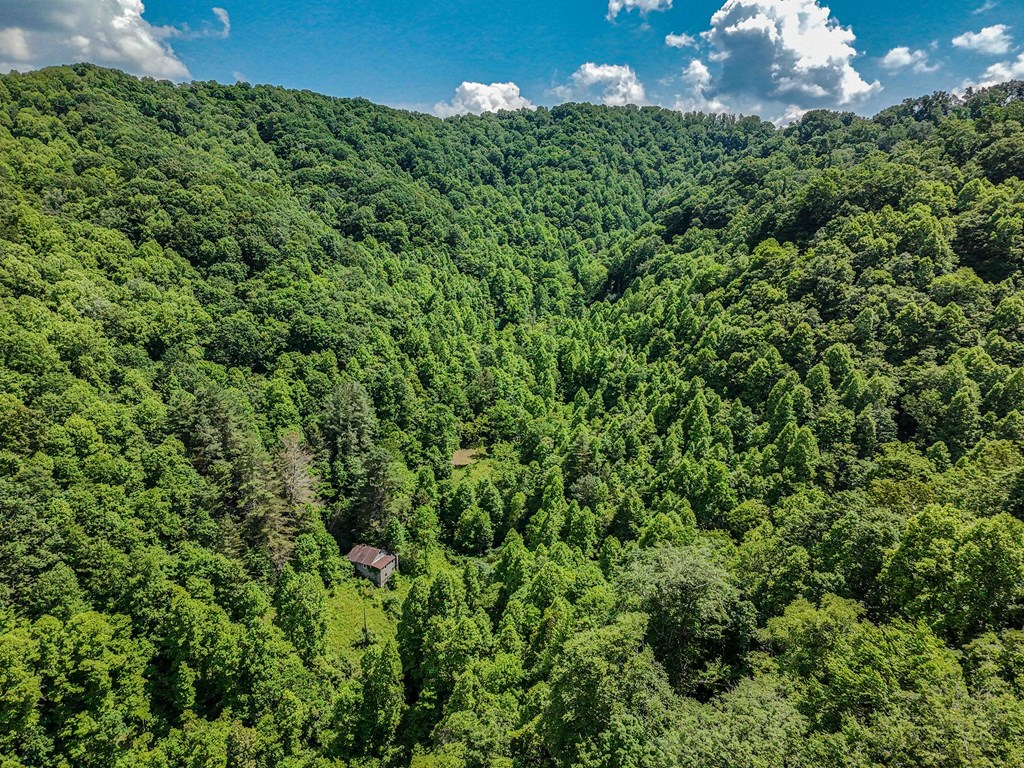 Land in Grundy 4
