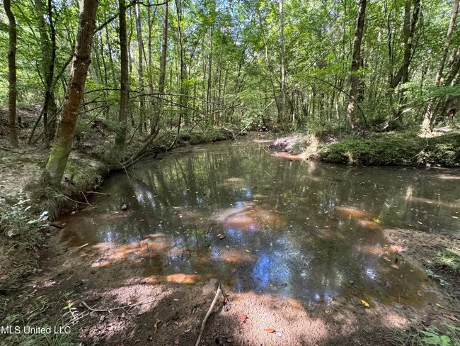 land-for-sale-lincoln-county-ms 17 | Image 19