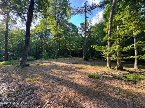 1193 Patriots Landing Ln, Falls Of Rough, KY, 40119-7541 | Card Image