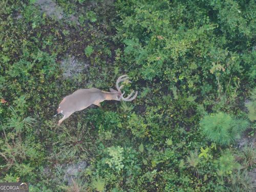 0 Laurel Branch Rd, Mc Intyre, GA, 31054 | Card Image