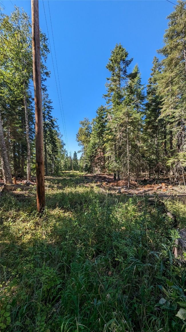 Approximate Boundary | Image 54
