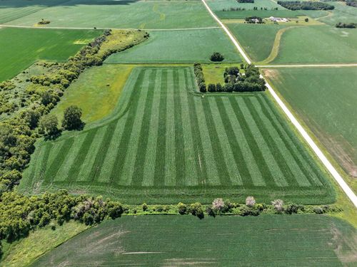 TBD 270th Ave, Hayfield, MN, 55940 | Card Image