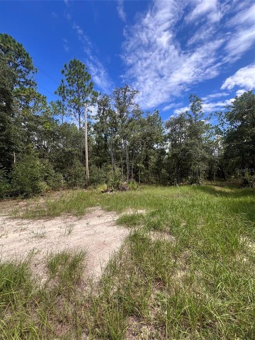 5614 S Georgian Rd, Homosassa, FL, 34446 | Card Image