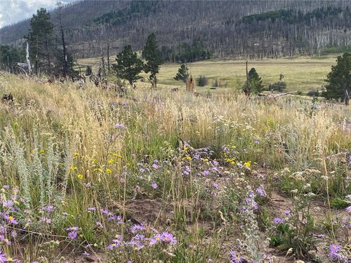 465 Mulligan Ln, Fort Garland, CO, 81133-9736 | Card Image