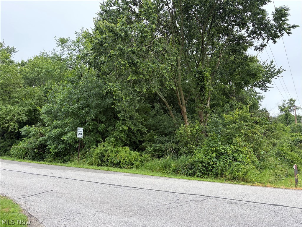Land in Wadsworth 2