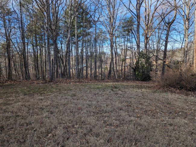 Land | Image 6