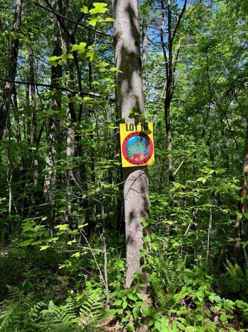 Lot 16 Paradise Mountain, Marble, NC, 28905 | Card Image