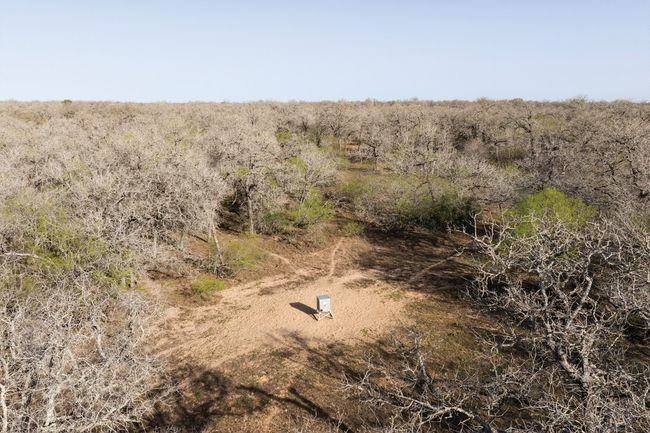 343 Batey Rd, Home with 3 bedrooms, 2 bathrooms and null parking in Nixon TX | Image 35
