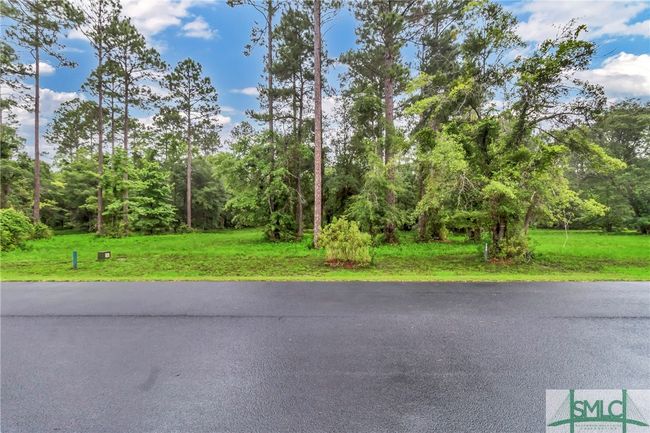 732 Coopers Point Dr Ne, Home with 0 bedrooms, 0 bathrooms and null parking in Townsend GA | Image 5
