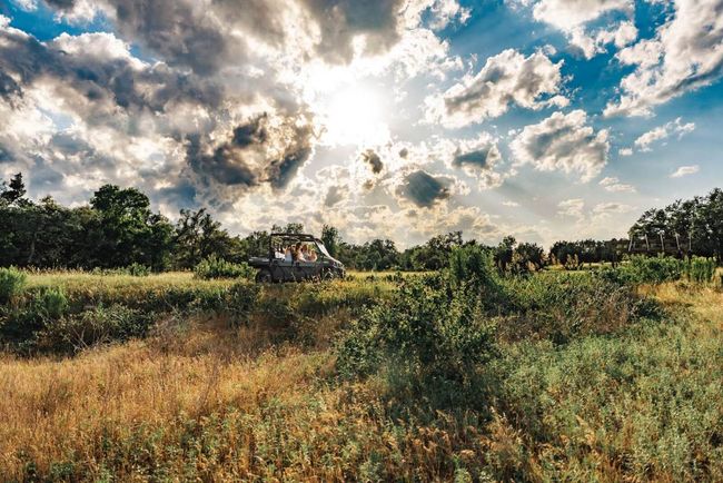 17650 Hamilton Pool Rd, Home with 0 bedrooms, 0 bathrooms and null parking in Austin TX | Image 11