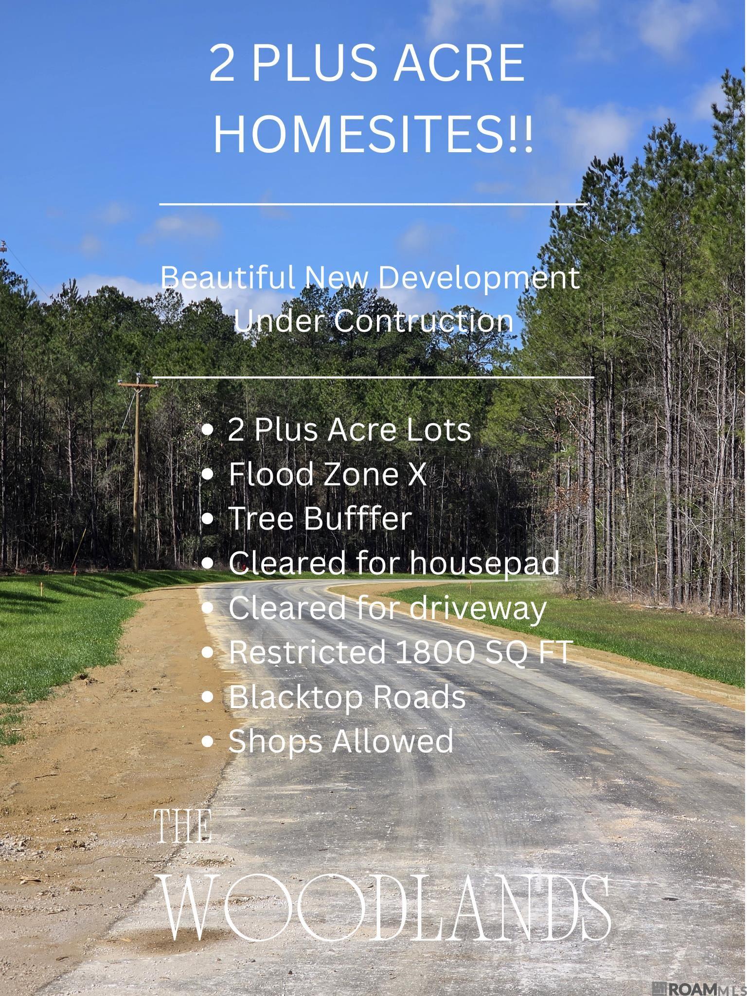 Land in Livingston 4