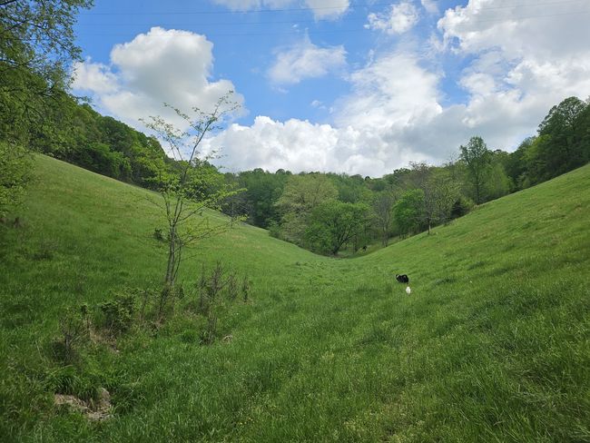 263 Club Springs Rd, House other with 3 bedrooms, 4 bathrooms and 8 parking in Elmwood TN | Image 55