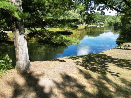 3251 Timberlane Dr, Evart, MI, 49631-9553 | Card Image