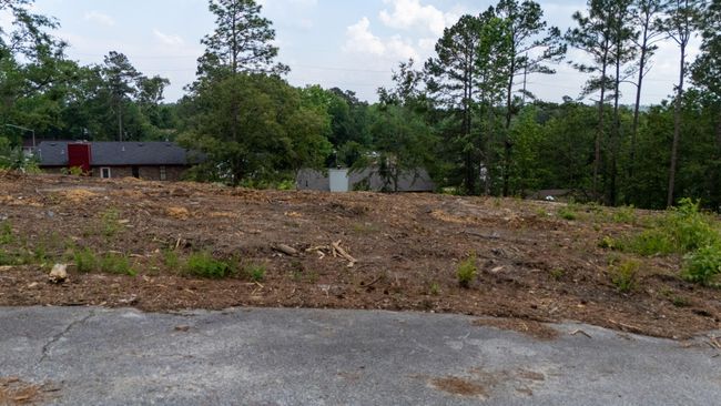 45-web-or-mls-DJI_20250508155455_0276_D | Image 8