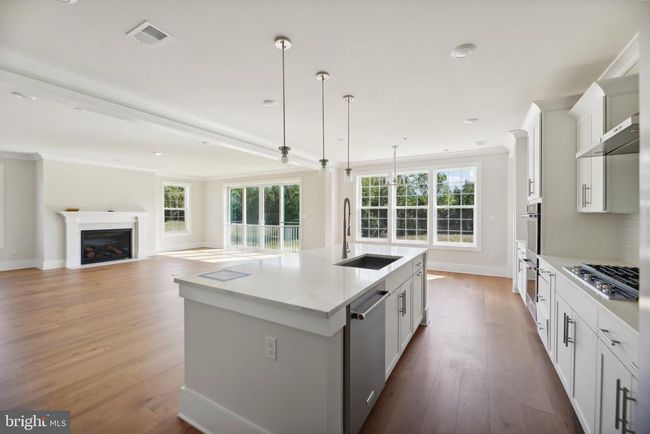14647 Seneca Farm Ln, House other with 6 bedrooms, 7 bathrooms and null parking in DARNESTOWN MD | Image 104