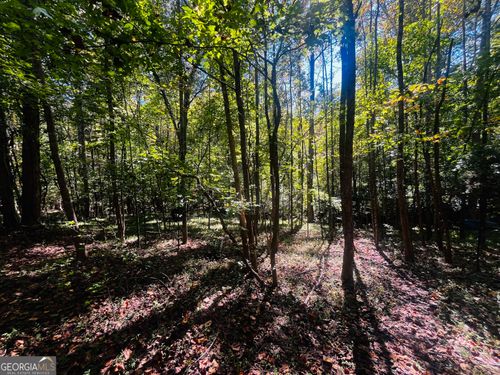 LOT 14 Lakeview Dr, Baldwin, GA, 30511 | Card Image