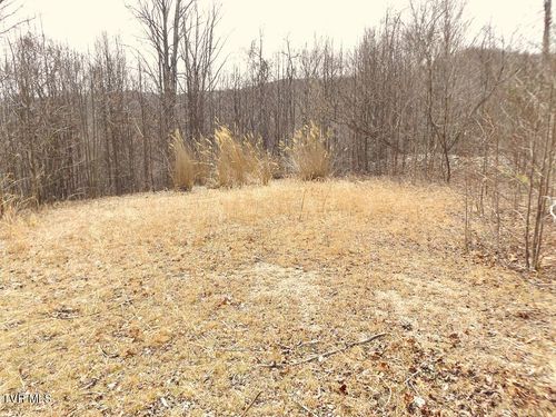 1213 Mays Ridge Lot 17 Road, Butler, TN, 37640 | Card Image