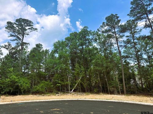 2449 Hidden Creek Trl, Tyler, TX, 75703 | Card Image