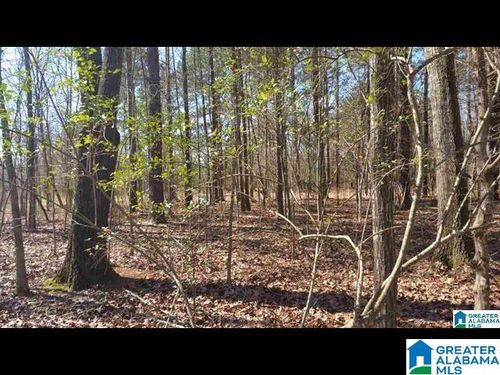 10-0 Morning Glory Cir, TALLADEGA, AL, 35160 | Card Image