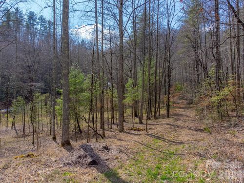 47.52 ac Little Snowbird Road, Robbinsville, NC, 28771 | Card Image