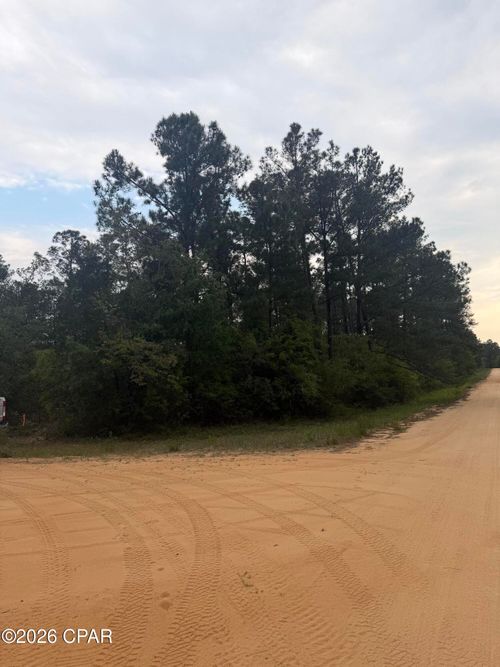 000 Deshutes Drive, Alford, FL, 32420 | Card Image