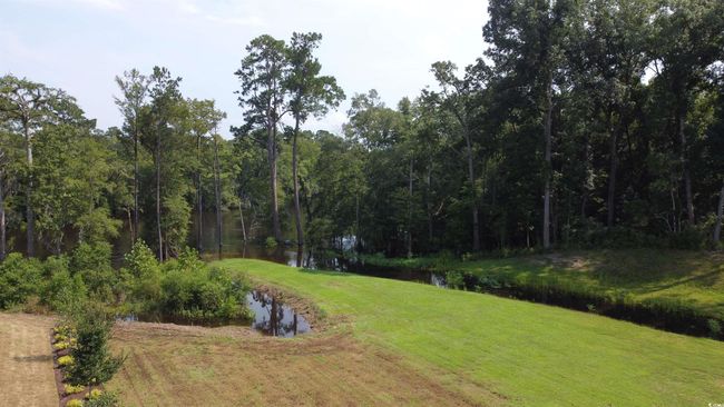 553 Honeyhill Loop, House other with 3 bedrooms, 2 bathrooms and 4 parking in Conway SC | Image 29
