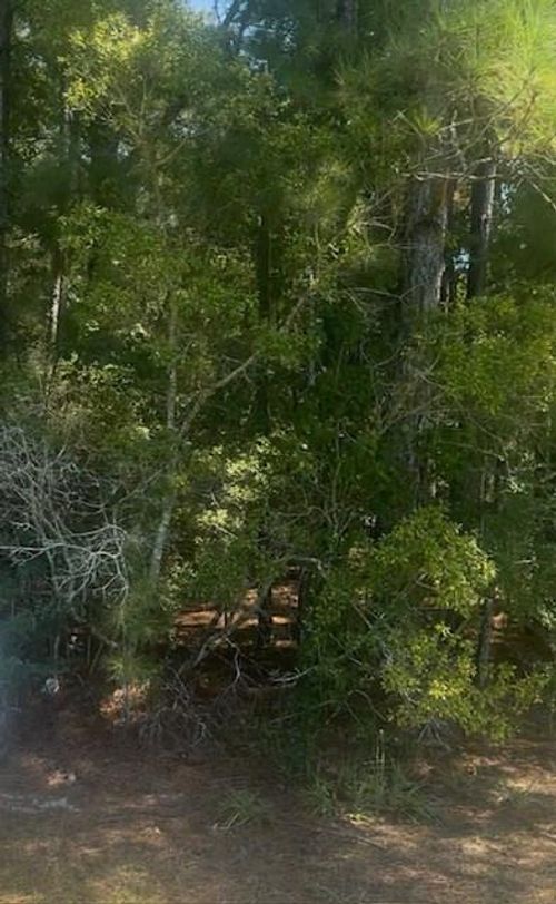 NHN Mint Julep Dr, Perkinston, MS, 39573-4559 | Card Image