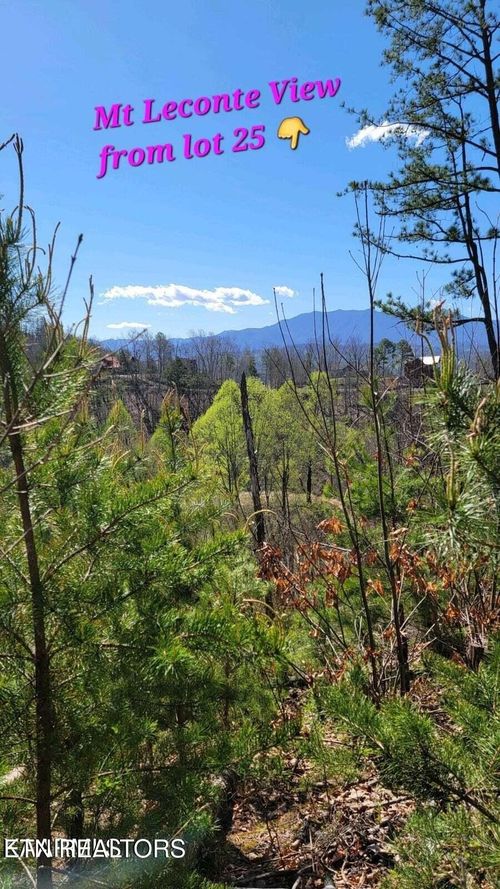 0 Walker Trail Tr, Sevierville, TN, 37876 | Card Image