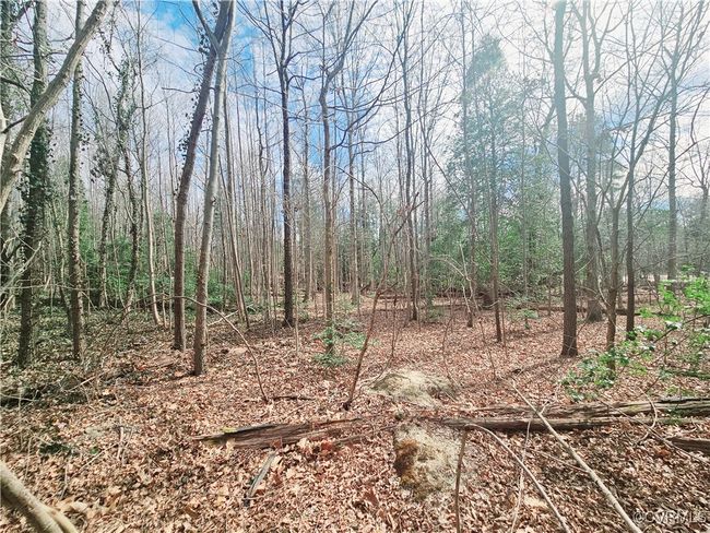 15601 Harrowgate Rd, Home with 0 bedrooms, 0 bathrooms and null parking in Chester VA | Image 10