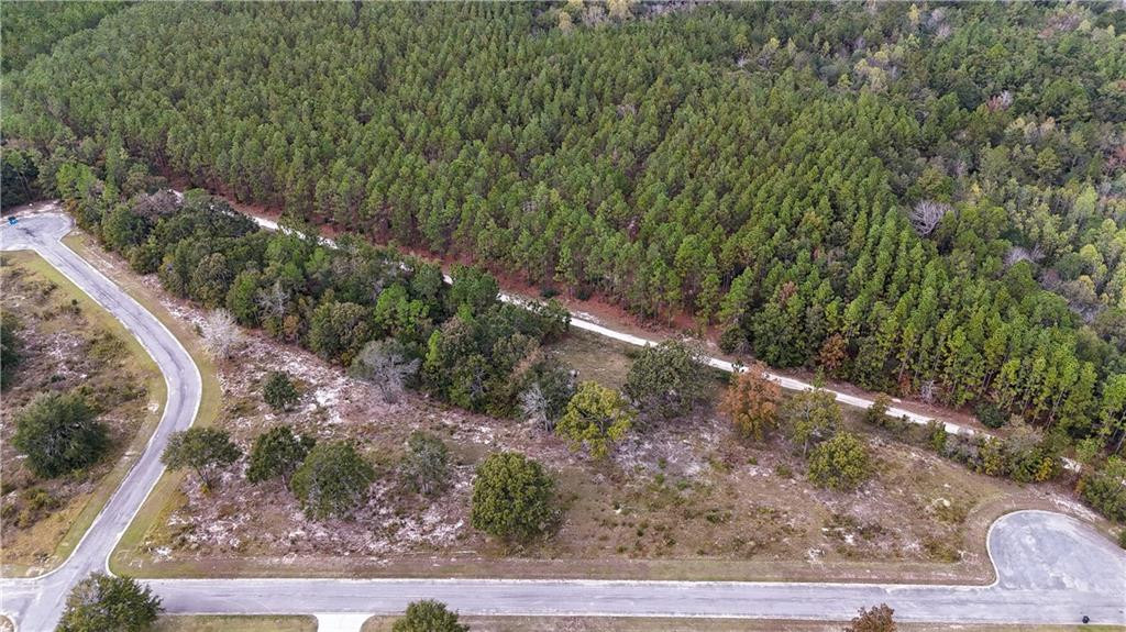 Land in Jesup 2