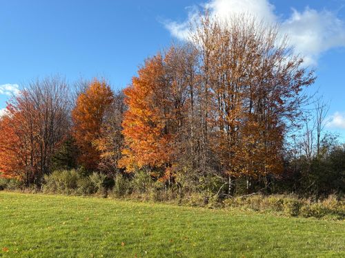 2930 Blue Star Hwy, Douglas, MI, 49406-5207 | Card Image