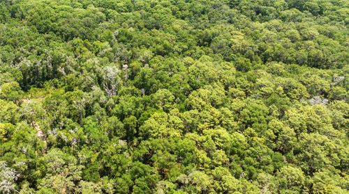 0 Se 134th Ct, Weirsdale, FL, 32195 | Card Image