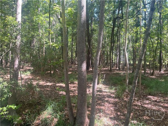 0 Seabrook Ln, Home with 0 bedrooms, 0 bathrooms and null parking in Midway GA | Image 5
