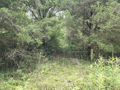 1069 Conestoga Trl, Livingston, TX, 77351-8587 | Card Image