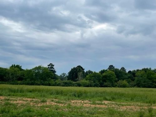 164 Brightside Trl, Kilgore, TX, 75662 | Card Image