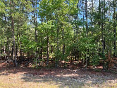 00 Ethridge Rd, Home with 0 bedrooms, 0 bathrooms and null parking in Haddock GA | Image 2