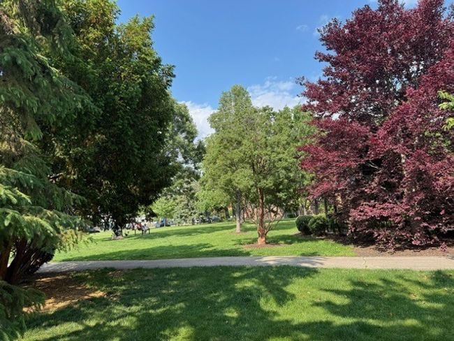 APT-3A - 825 Pearson St, Condo with 2 bedrooms, 2 bathrooms and 1 parking in Des Plaines IL | Image 4