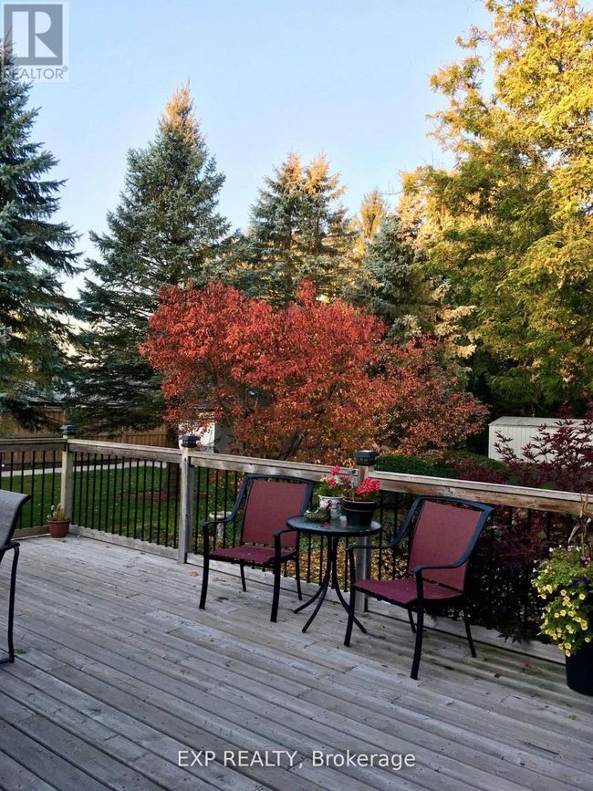 68 Thompson Pl, House other with 4 bedrooms, 2 bathrooms and 4 parking in Innerkip ON | Image 43