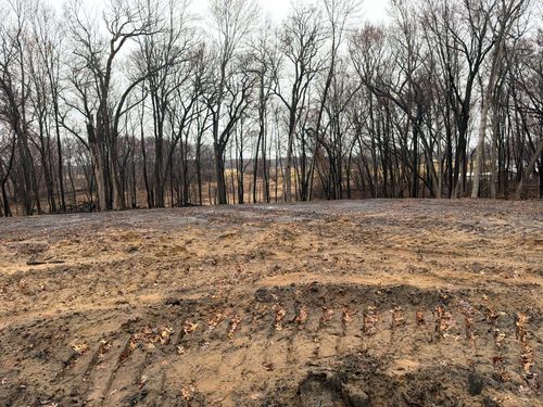 2987 154th Ln Ne, Andover, MN, 55304 | Card Image