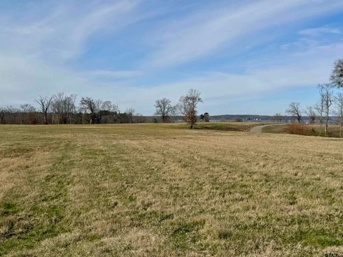 TBD Lot 52 Southshores, Pittsburg, TX, 75686 | Card Image