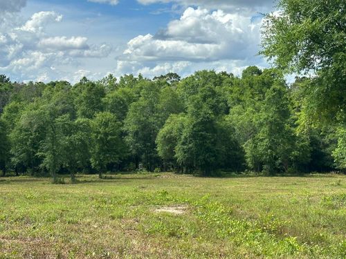 West 58 AC County Road 20/New Ebenezer Road, Florala, AL, 36442 | Card Image