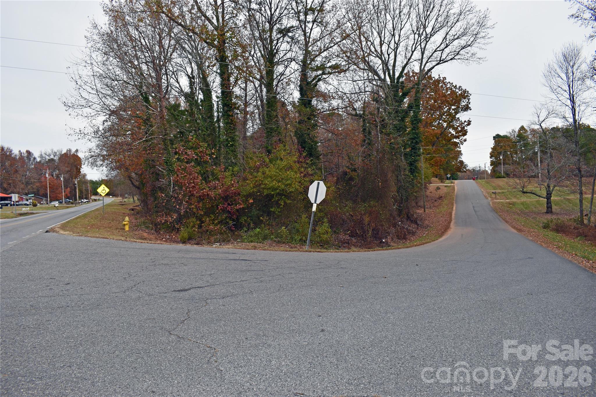 Land in Lincolnton 3